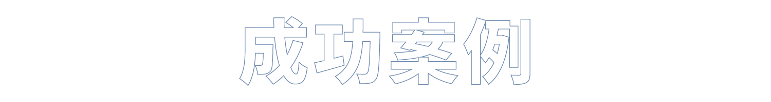成功案例-標題-框線-藍
